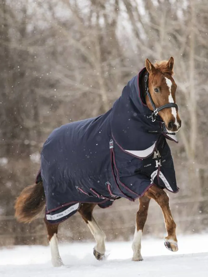 LeMieux Kudos Turnout Rug 350g in Navy